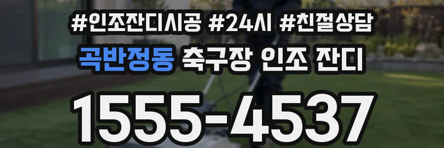 곡반정동 축구장 인조 잔디