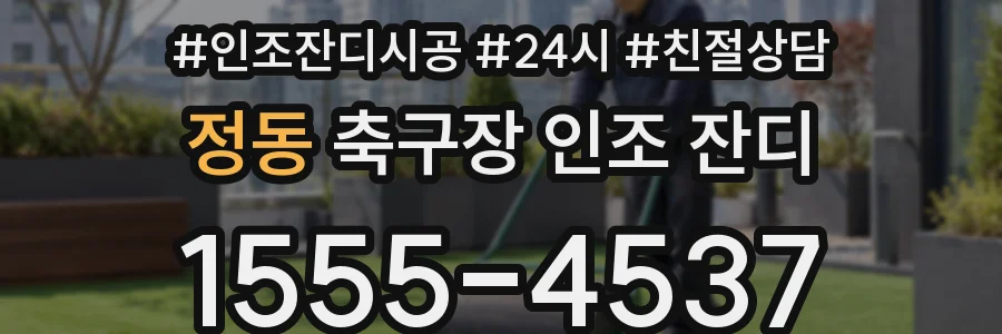 정동 축구장 인조 잔디