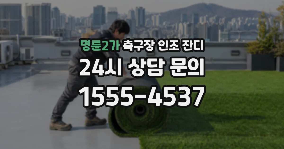 명륜2가 축구장 인조 잔디