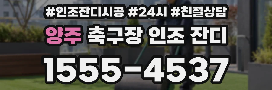 양주 축구장 인조 잔디