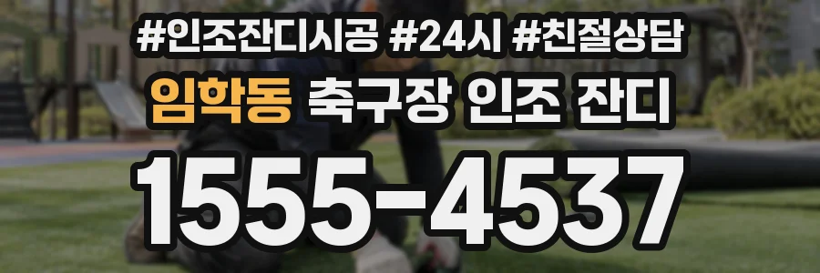 임학동 축구장 인조 잔디