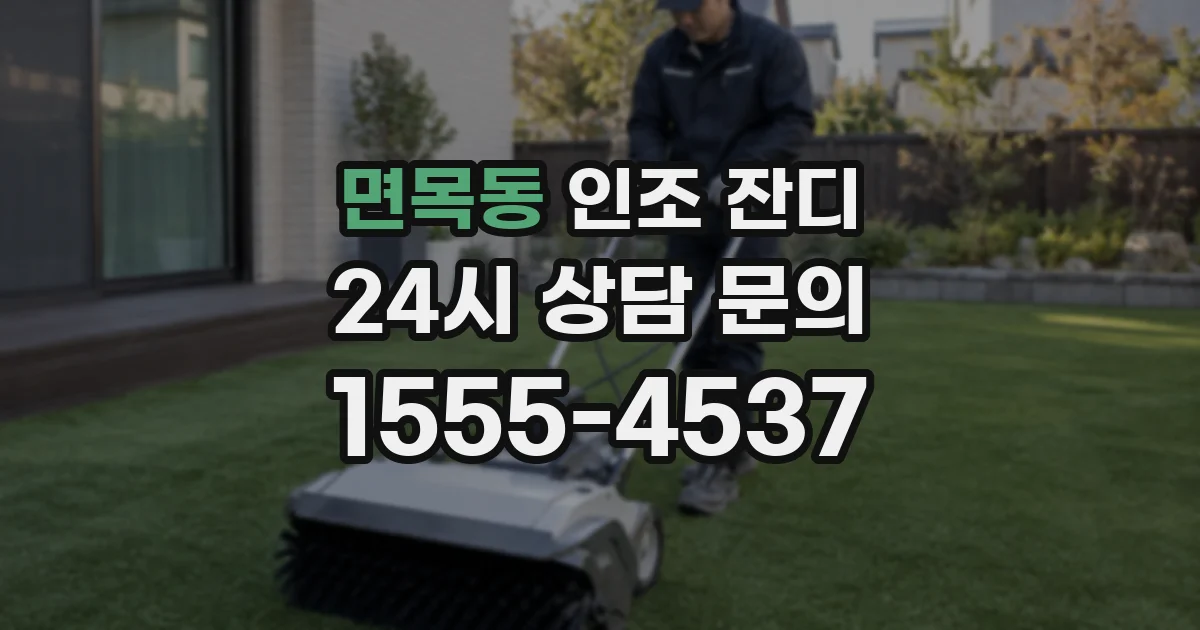 면목동 인조 잔디