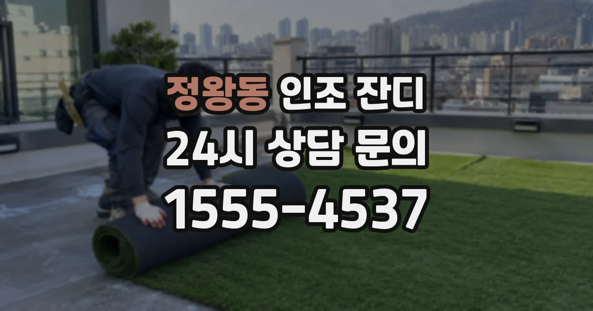 정왕동 인조 잔디