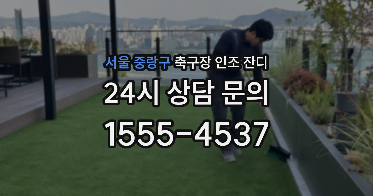 서울 중랑구 축구장 인조 잔디
