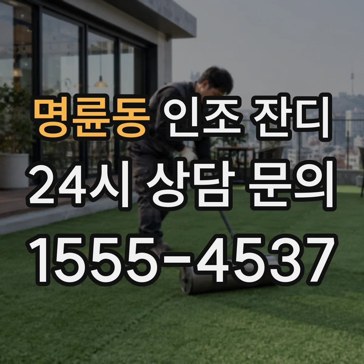 명륜동 인조 잔디