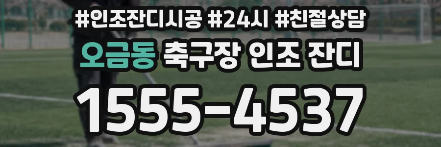 오금동 축구장 인조 잔디