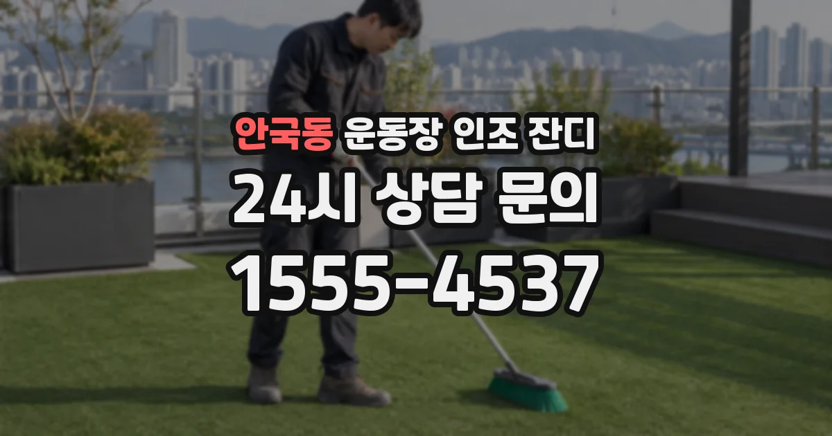 안국동 운동장 인조 잔디