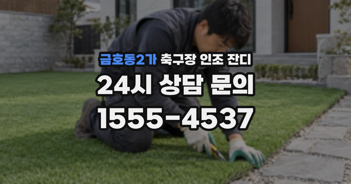 금호동2가 축구장 인조 잔디