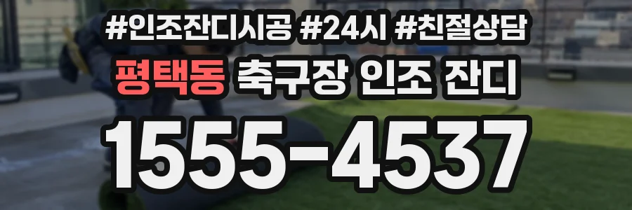 평택동 축구장 인조 잔디