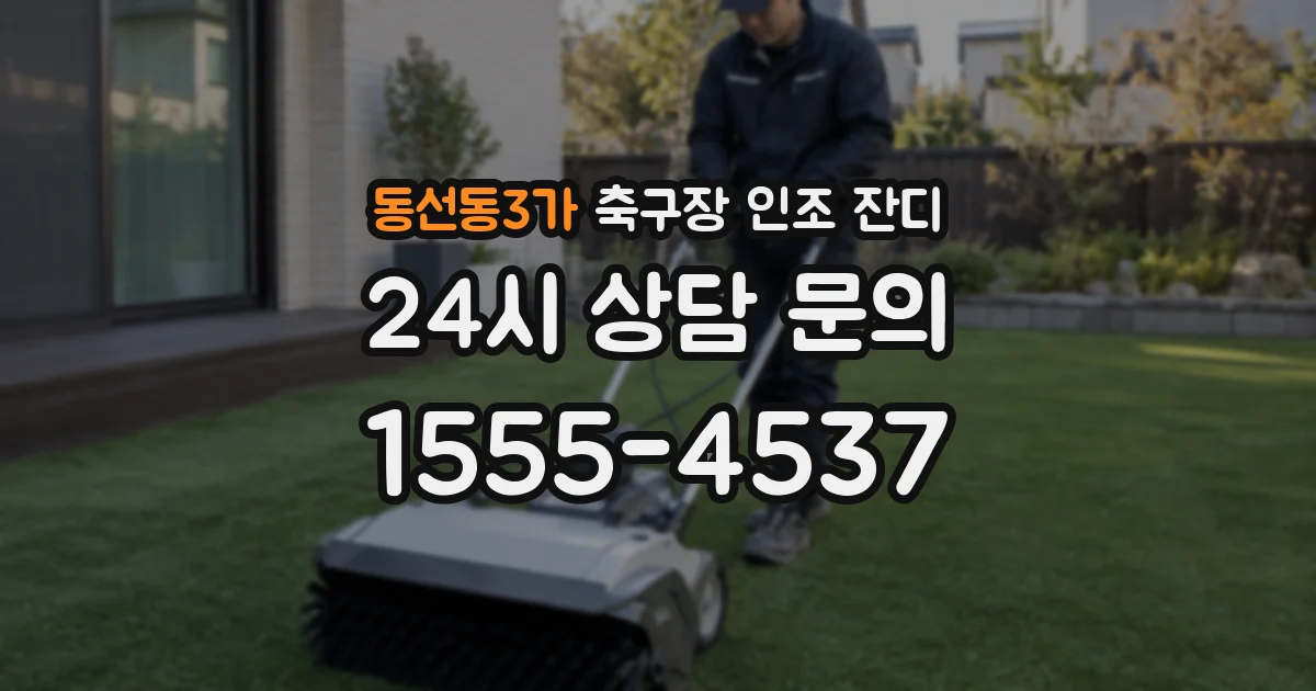 동선동3가 축구장 인조 잔디