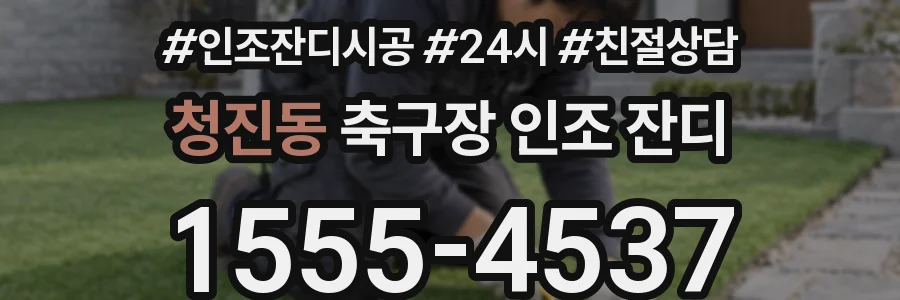 청진동 축구장 인조 잔디