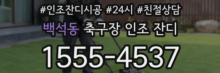 백석동 축구장 인조 잔디