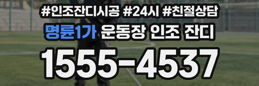 명륜1가 운동장 인조 잔디