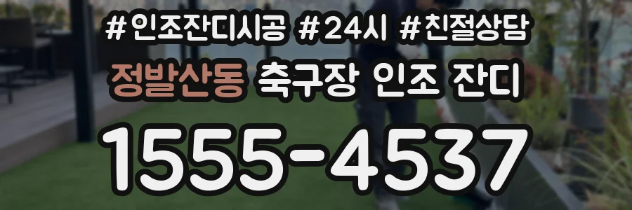 정발산동 축구장 인조 잔디