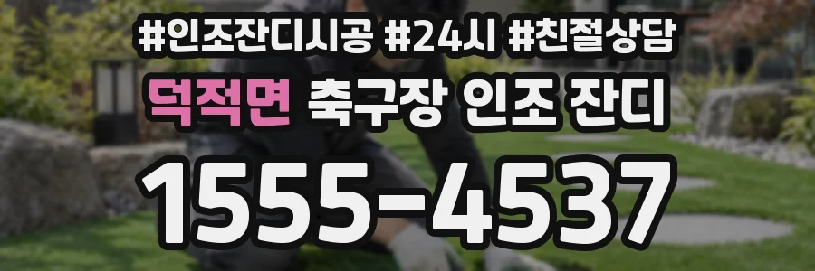 덕적면 축구장 인조 잔디