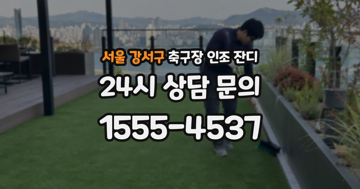 서울 강서구 축구장 인조 잔디