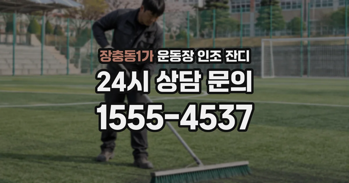 장충동1가 운동장 인조 잔디
