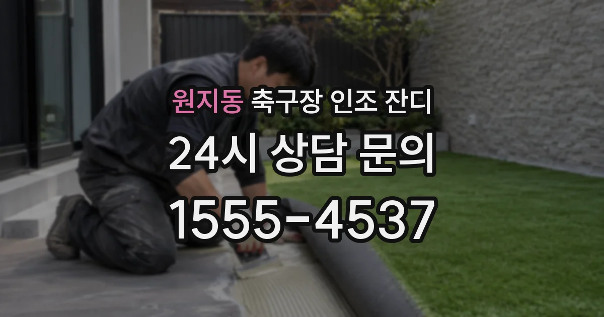 원지동 축구장 인조 잔디