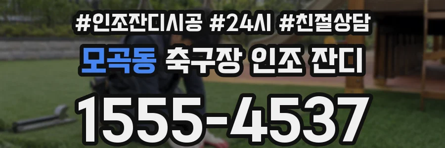 모곡동 축구장 인조 잔디