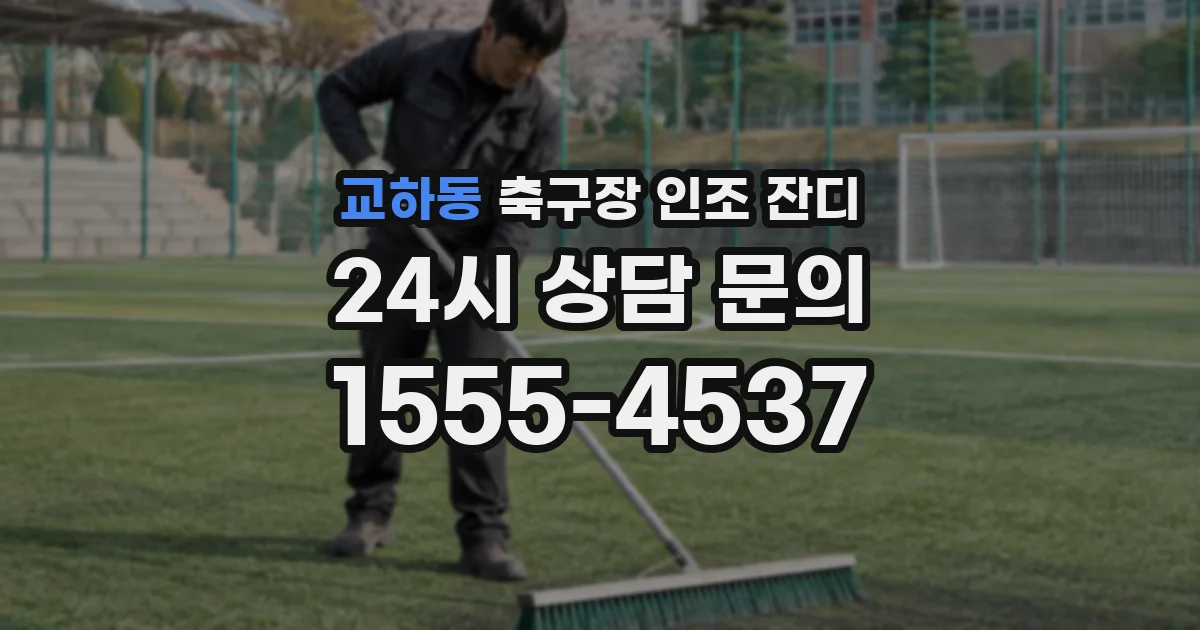 교하동 축구장 인조 잔디