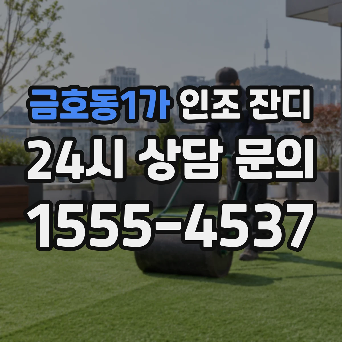 금호동1가 인조 잔디