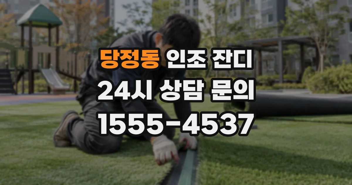 당정동 인조 잔디