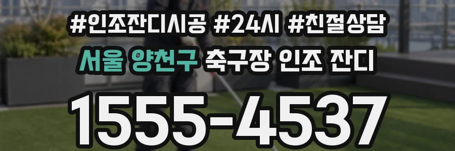서울 양천구 축구장 인조 잔디