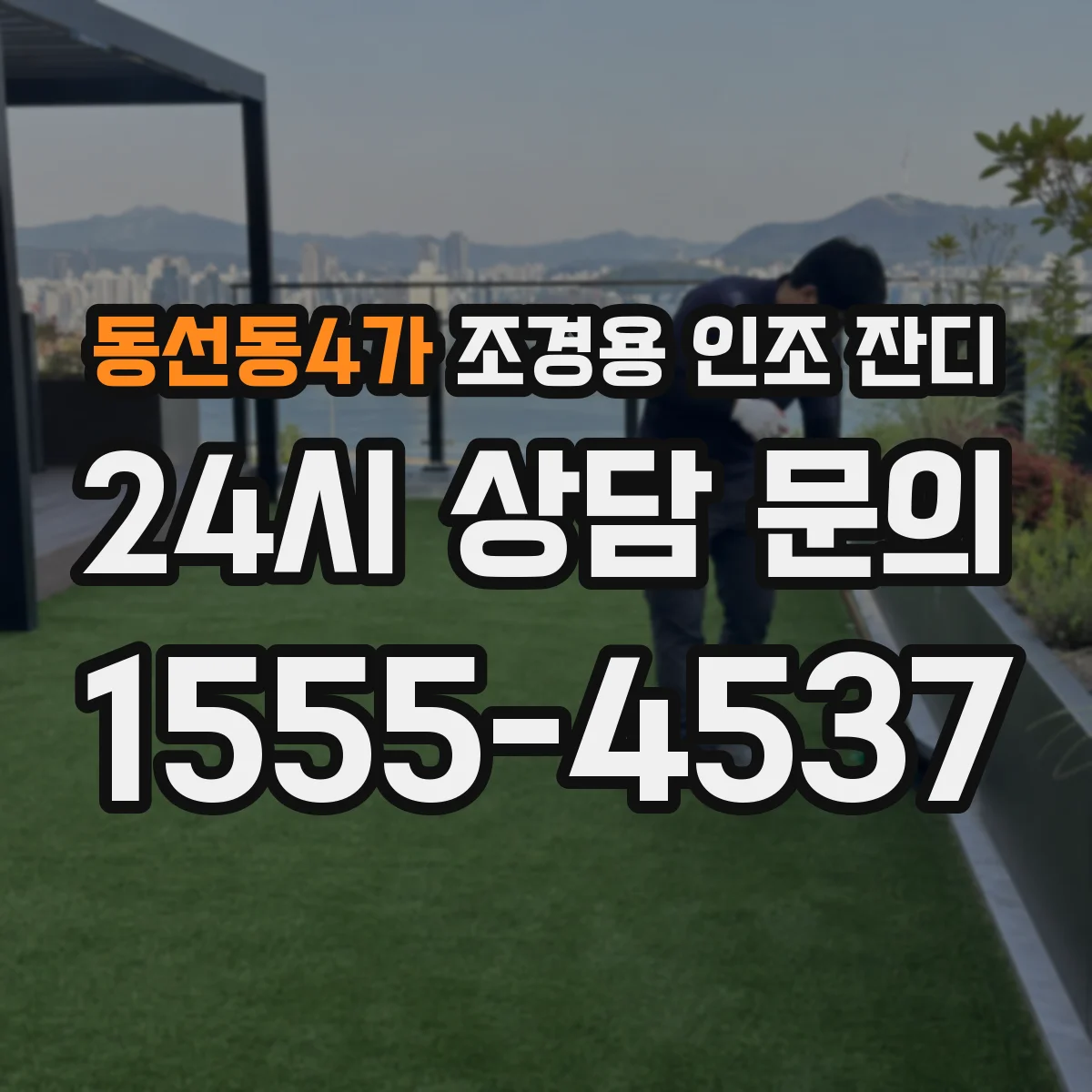 동선동4가 조경용 인조 잔디