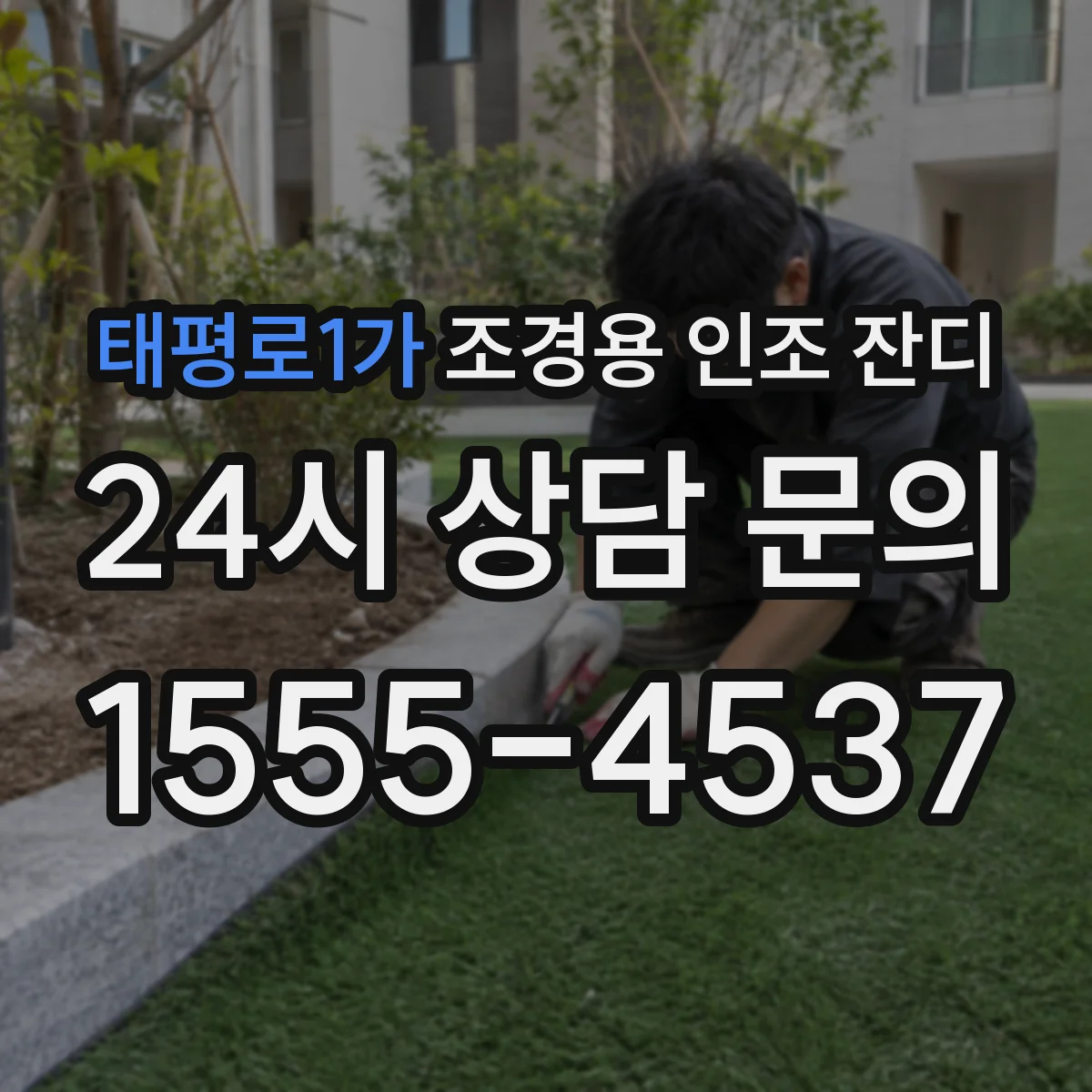 태평로1가 조경용 인조 잔디