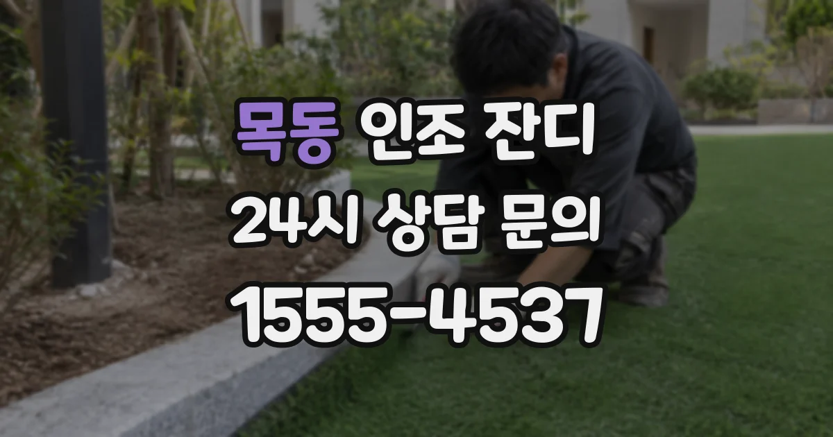 목동 인조 잔디
