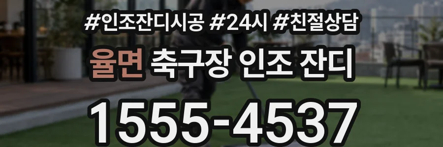 율면 축구장 인조 잔디