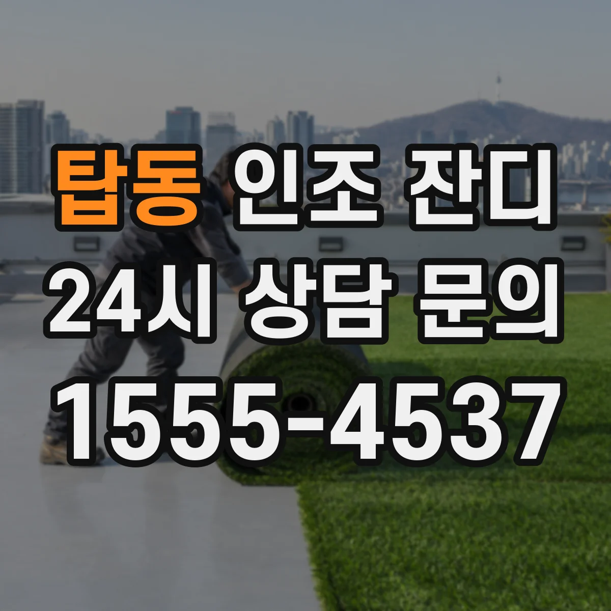 탑동 인조 잔디