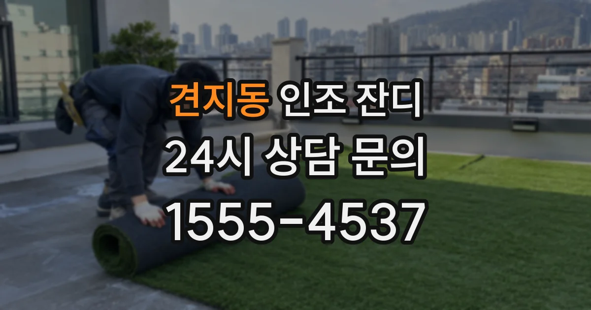 견지동 인조 잔디