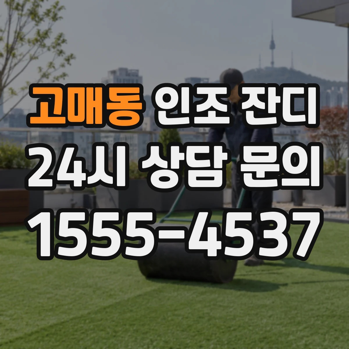 고매동 인조 잔디