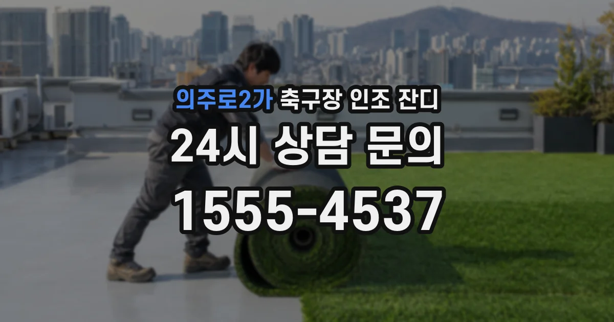의주로2가 축구장 인조 잔디