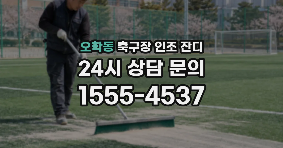 오학동 축구장 인조 잔디