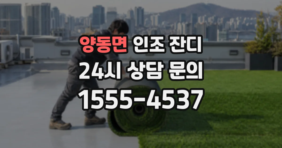 양동면 인조 잔디