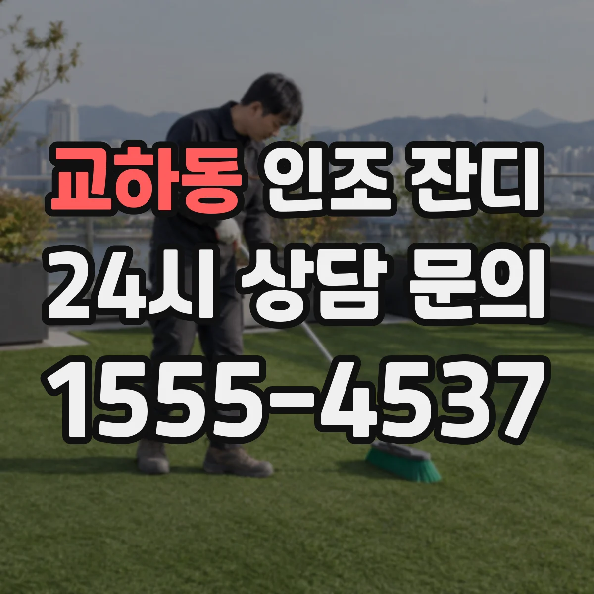 교하동 인조 잔디