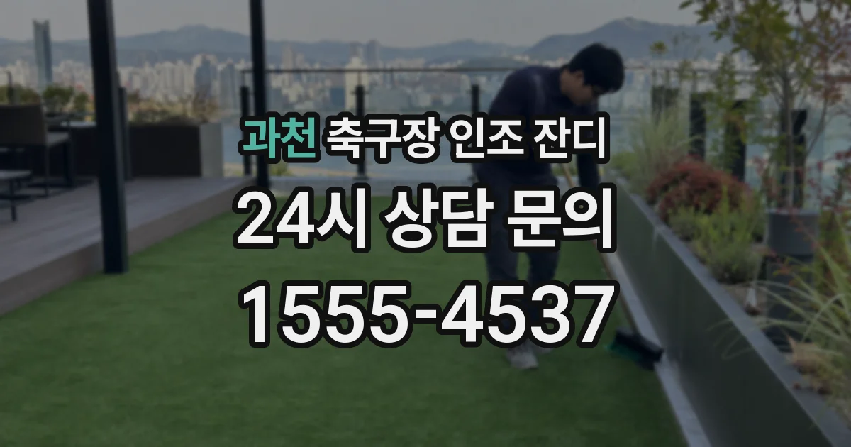 과천 축구장 인조 잔디