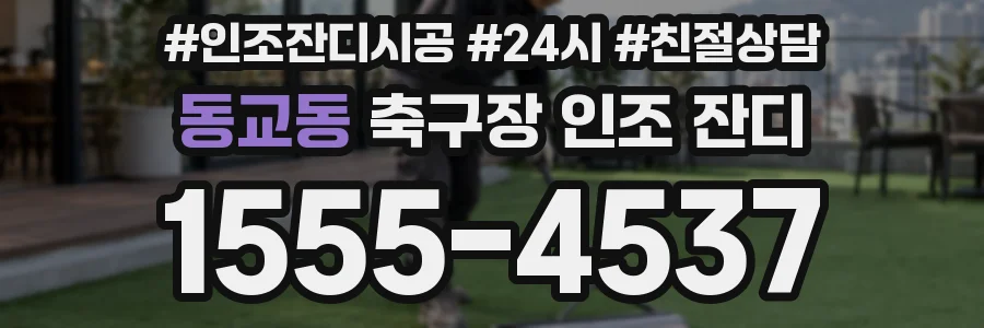 동교동 축구장 인조 잔디