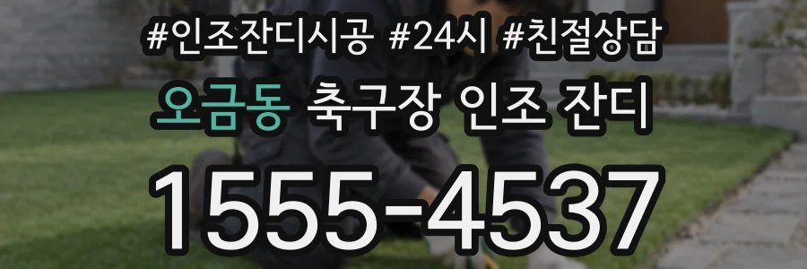 오금동 축구장 인조 잔디