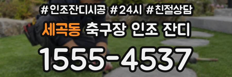 세곡동 축구장 인조 잔디