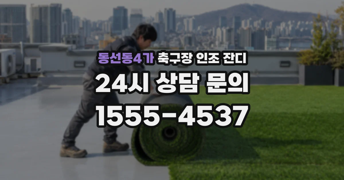 동선동4가 축구장 인조 잔디