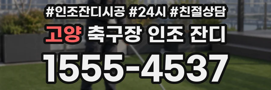 고양 축구장 인조 잔디