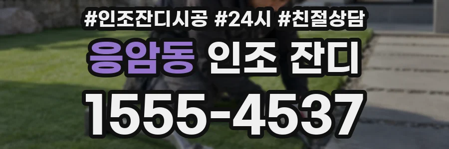응암동 인조 잔디