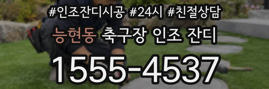능현동 축구장 인조 잔디