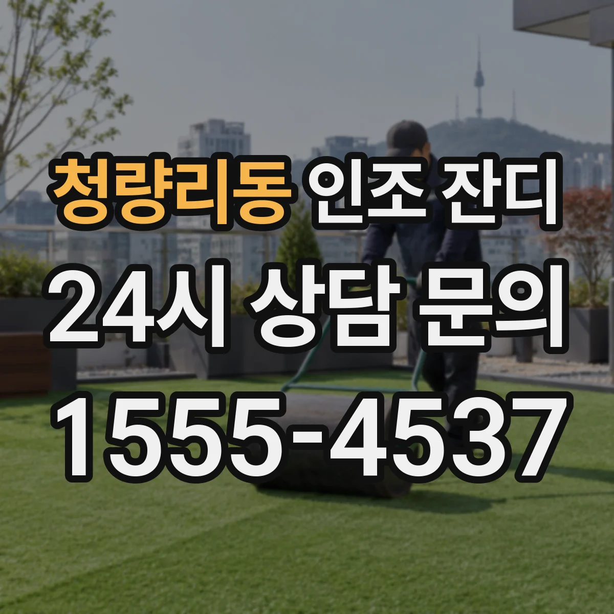 청량리동 인조 잔디