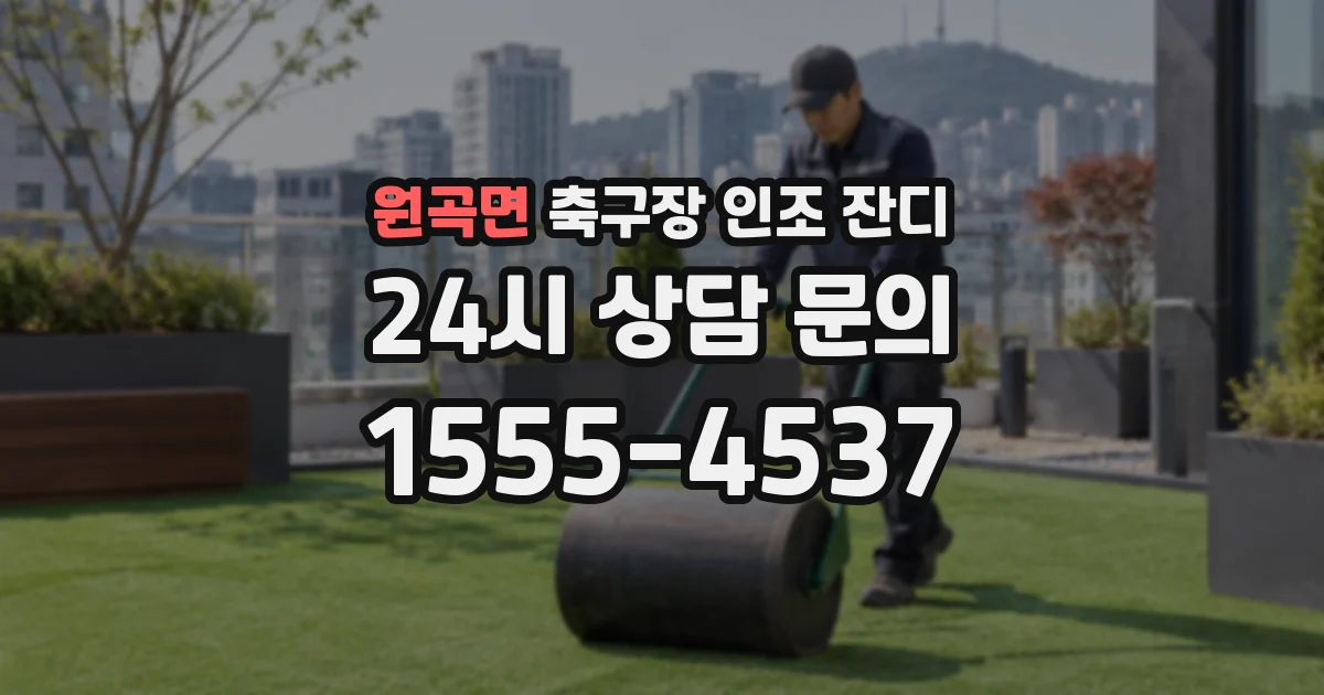 원곡면 축구장 인조 잔디