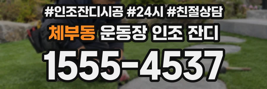 체부동 운동장 인조 잔디