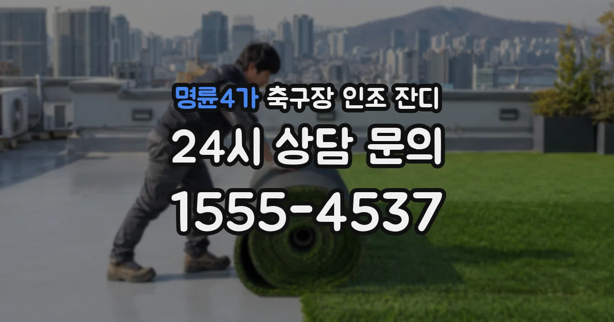명륜4가 축구장 인조 잔디